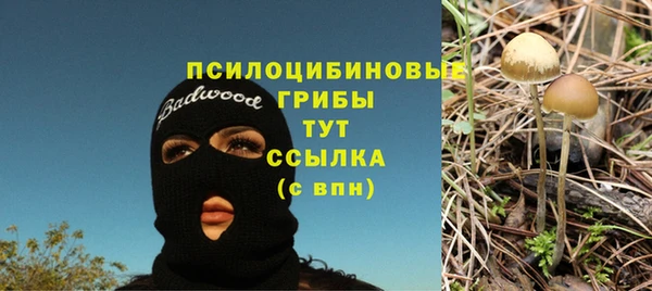скорость Пересвет