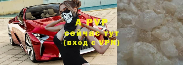 apvp Вяземский